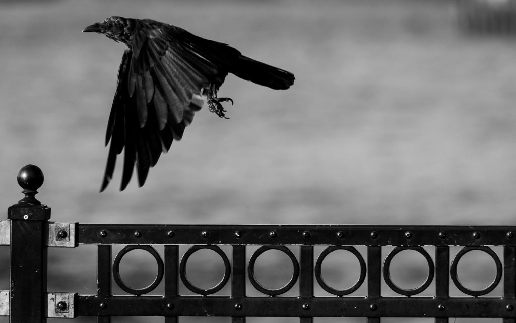 Editorial & Travel Photography, Delaware River, Gloucester City, New Jersey