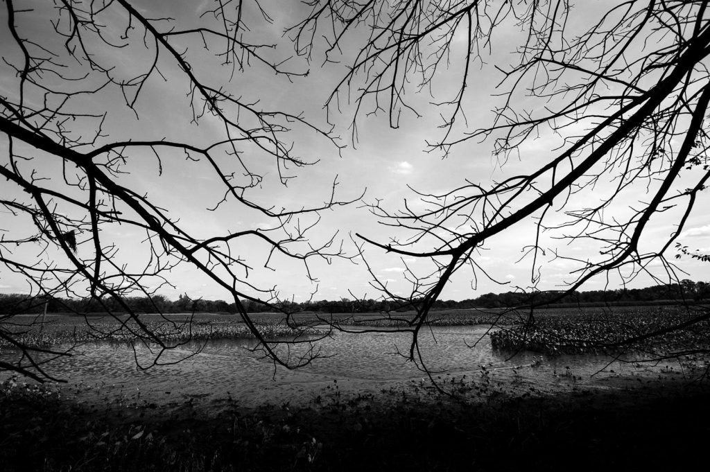 Editorial & Travel Photography, Delaware River, Palmyra Cove, New Jersey