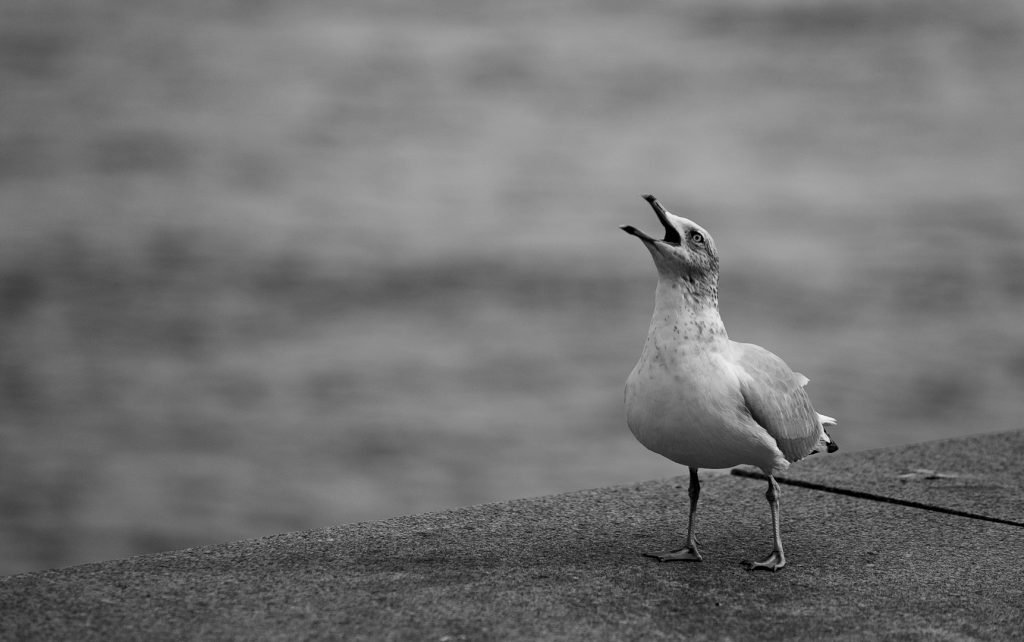 Editorial & Travel Photography, Delaware River, Penn's Landing, Philadelphia