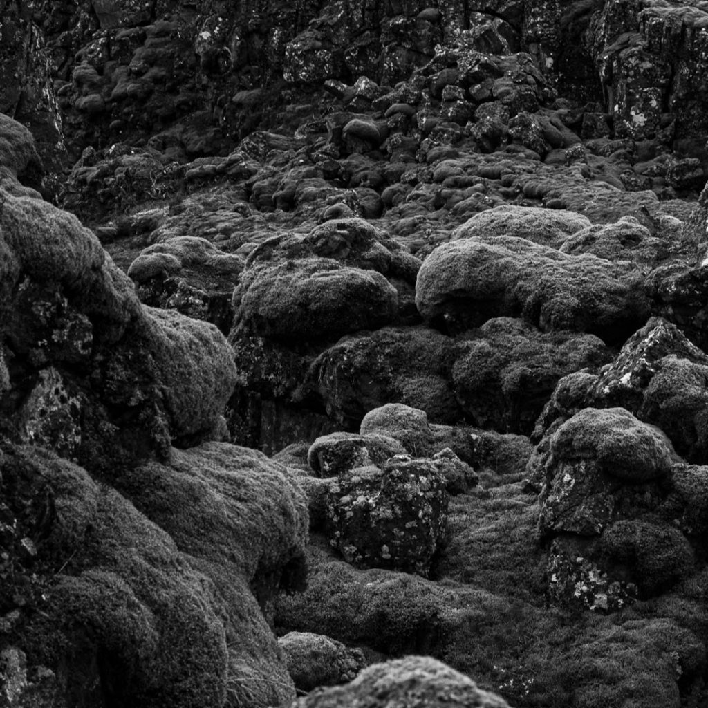 Travel Photography, Texture Study, Rift at Thingvellir, Iceland