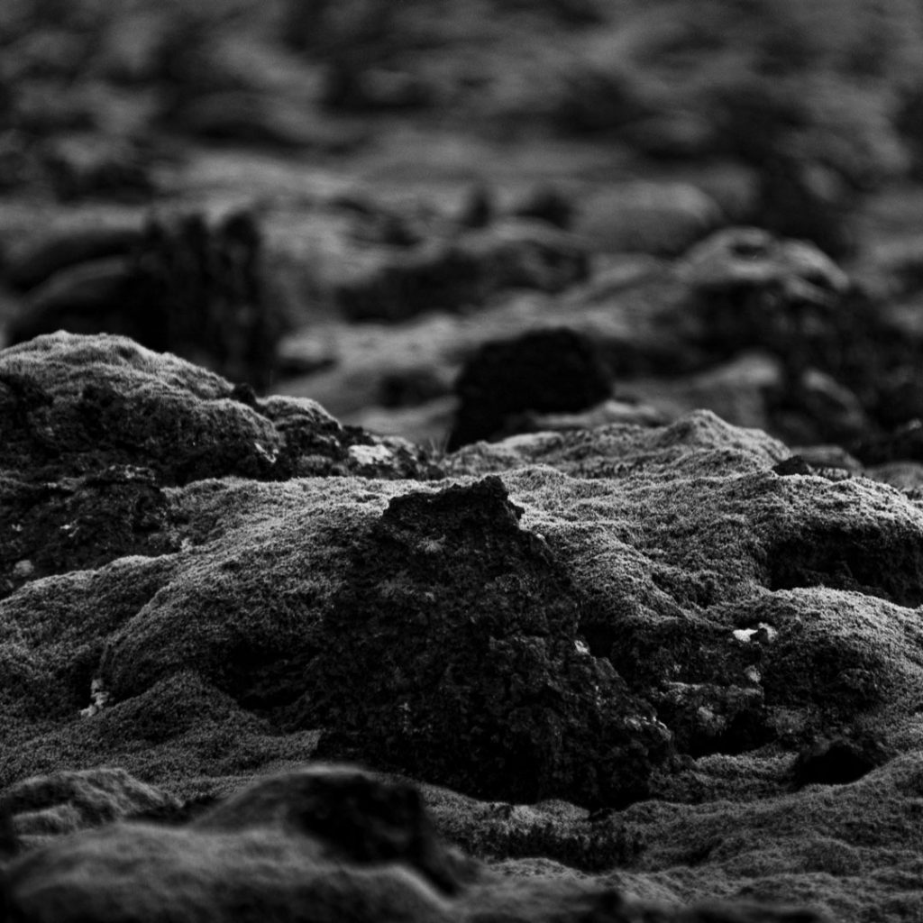 Travel Photography, Texture Study, lava field in Iceland